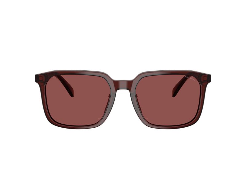 Coach Cw405 Lunettes de Soleil HC 8411U 585075