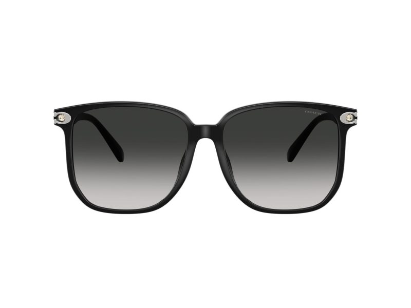 Coach Cw419 Lunettes de Soleil HC 8413BD 50023C