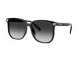Coach Cw419 Lunettes de Soleil HC 8413BD 50023C