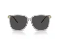 Coach Cw419 Lunettes de Soleil HC 8413BD 561487