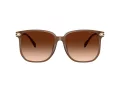 Coach Cw419 Lunettes de Soleil HC 8413BD 580874