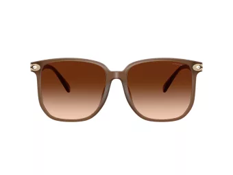 Coach Cw419 Lunettes de Soleil HC 8413BD 580874