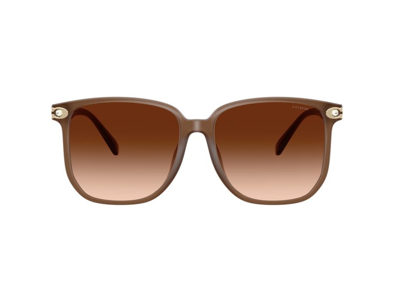 Coach Cw419 Lunettes de Soleil HC 8413BD 580874