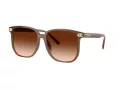Coach Cw419 Lunettes de Soleil HC 8413BD 580874