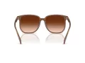 Coach Cw419 Lunettes de Soleil HC 8413BD 580874