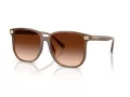 Coach Cw419 Lunettes de Soleil HC 8413BD 580874