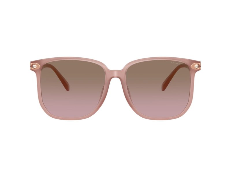 Coach Cw419 Lunettes de Soleil HC 8413BD 583914
