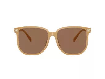 Coach Cw419 Lunettes de Soleil HC 8413BD 585473