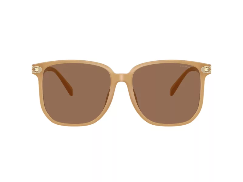 Coach Cw419 Lunettes de Soleil HC 8413BD 585473