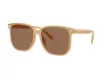 Coach Cw419 Lunettes de Soleil HC 8413BD 585473