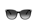 Coach Cw428 Lunettes de Soleil HC 8414BD 50023C