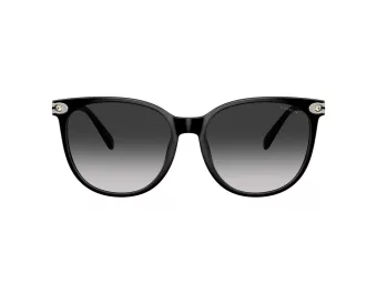 Coach Cw428 Lunettes de Soleil HC 8414BD 50023C