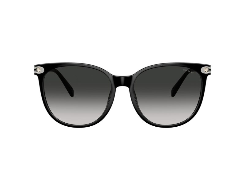 Coach Cw428 Lunettes de Soleil HC 8414BD 50023C