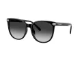 Coach Cw428 Lunettes de Soleil HC 8414BD 50023C