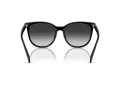 Coach Cw428 Lunettes de Soleil HC 8414BD 50023C