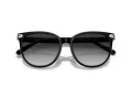 Coach Cw428 Lunettes de Soleil HC 8414BD 50023C