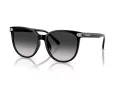 Coach Cw428 Lunettes de Soleil HC 8414BD 50023C