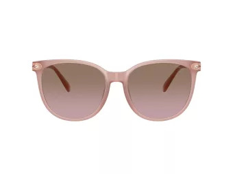Coach Cw428 Lunettes de Soleil HC 8414BD 583914