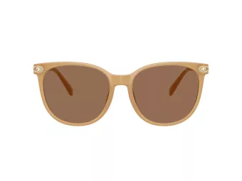 Coach Cw428 Lunettes de Soleil HC 8414BD 585473