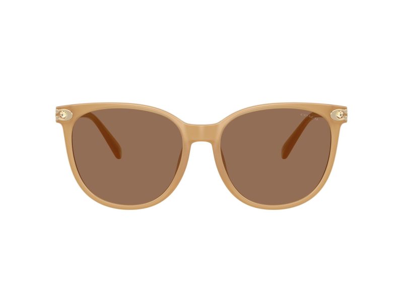 Coach Cw428 Lunettes de Soleil HC 8414BD 585473