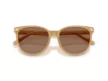 Coach Cw428 Lunettes de Soleil HC 8414BD 585473