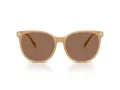 Coach Cw428 Lunettes de Soleil HC 8414BD 585473