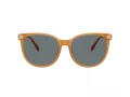 Coach Cw428 Lunettes de Soleil HC 8414BD 585580