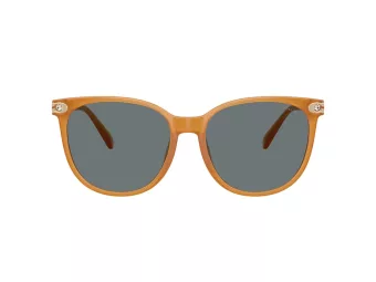 Coach Cw428 Lunettes de Soleil HC 8414BD 585580