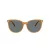 Coach Cw428 Lunettes de Soleil HC 8414BD 585580