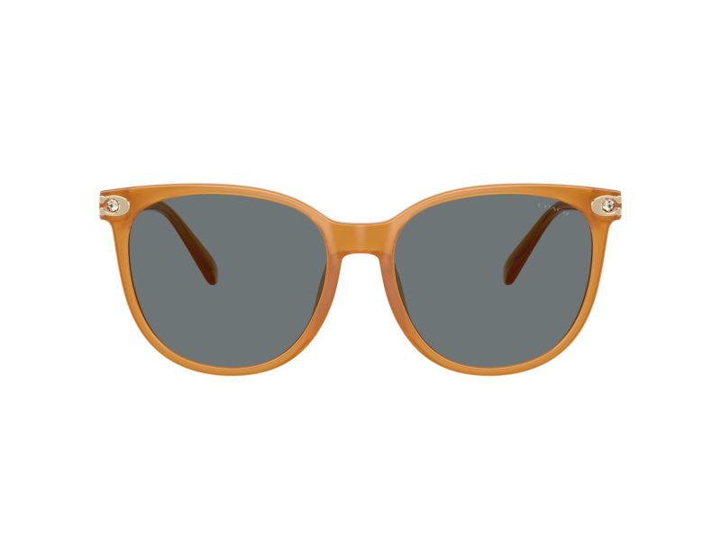 Coach Cw428 Lunettes de Soleil HC 8414BD 585580