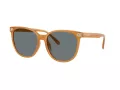 Coach Cw428 Lunettes de Soleil HC 8414BD 585580