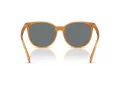 Coach Cw428 Lunettes de Soleil HC 8414BD 585580