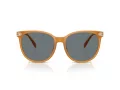 Coach Cw428 Lunettes de Soleil HC 8414BD 585580