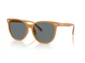 Coach Cw428 Lunettes de Soleil HC 8414BD 585580