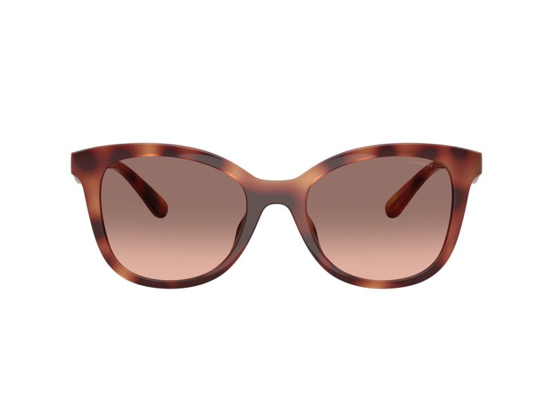 Coach Cad25 Lunettes de Soleil HC 8419U 577413