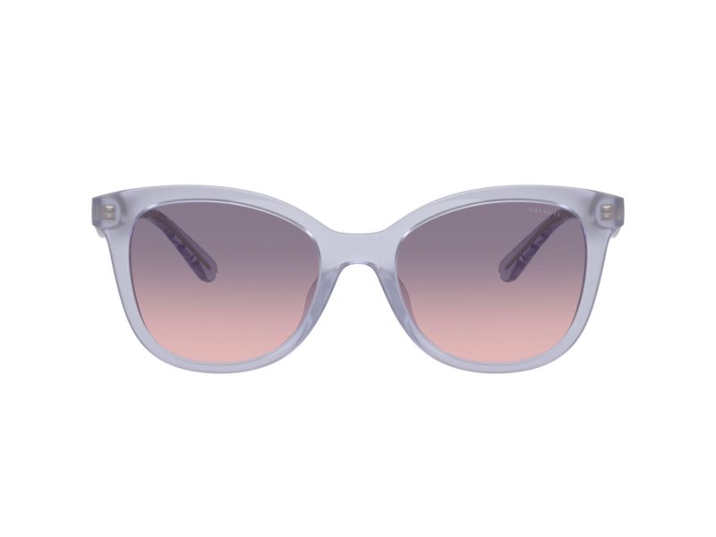 Coach Cad25 Lunettes de Soleil HC 8419U 5873I6