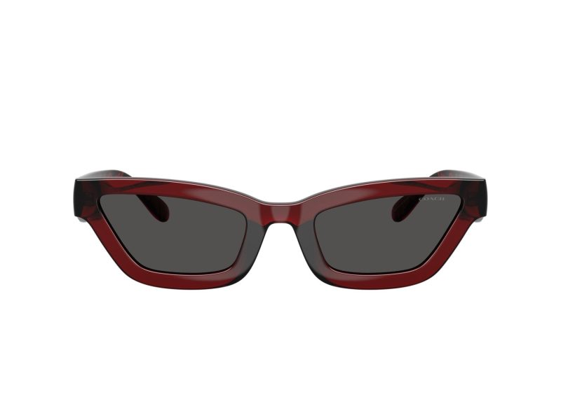 Coach Cad28 Lunettes de Soleil HC 8420U 587487