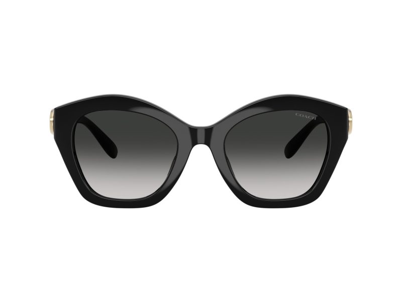 Coach Cad31 Lunettes de Soleil HC 8421U 50023C