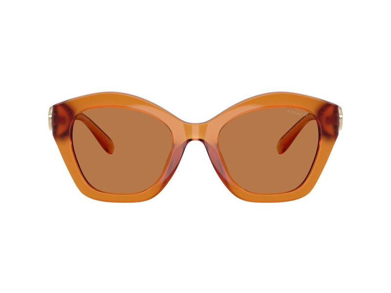 Coach Cad31 Lunettes de Soleil HC 8421U 564773