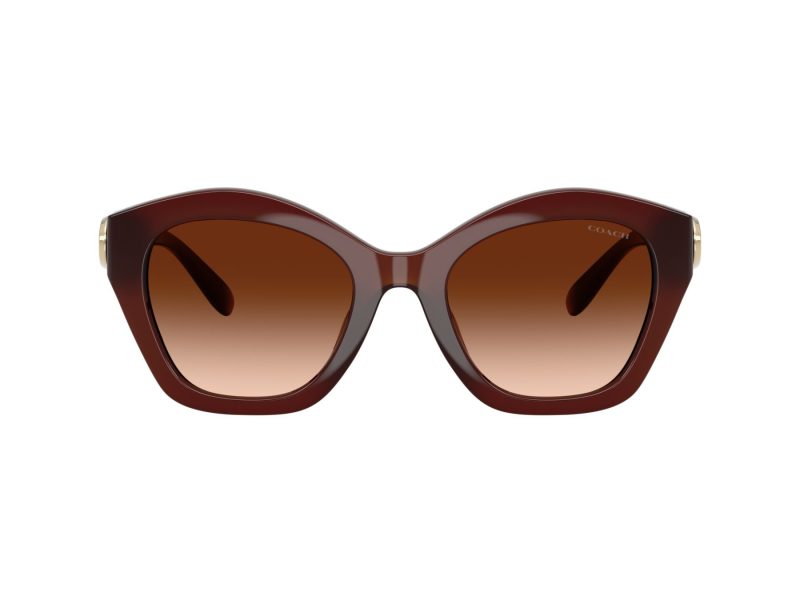 Coach Cad31 Lunettes de Soleil HC 8421U 584174