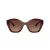 Coach Cad31 Lunettes de Soleil HC 8421U 5841T5
