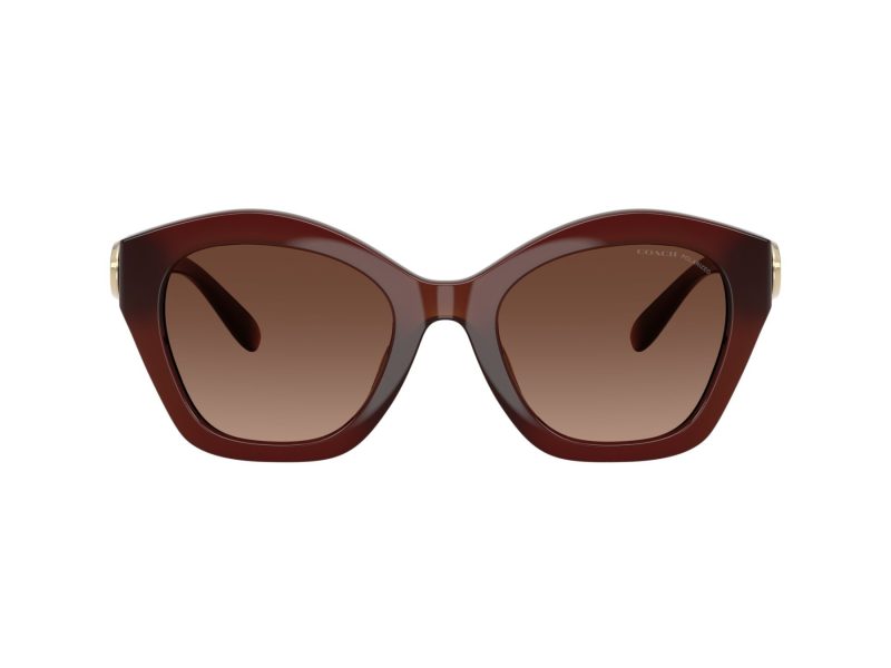 Coach Cad31 Lunettes de Soleil HC 8421U 5841T5