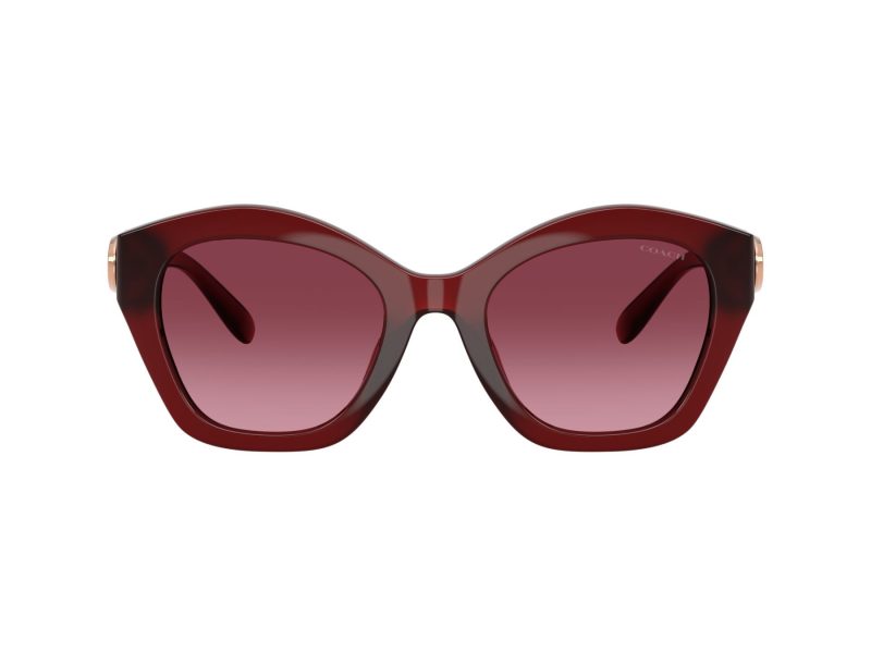 Coach Cad31 Lunettes de Soleil HC 8421U 58708H