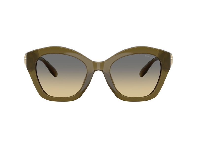 Coach Cad31 Lunettes de Soleil HC 8421U 5872L0