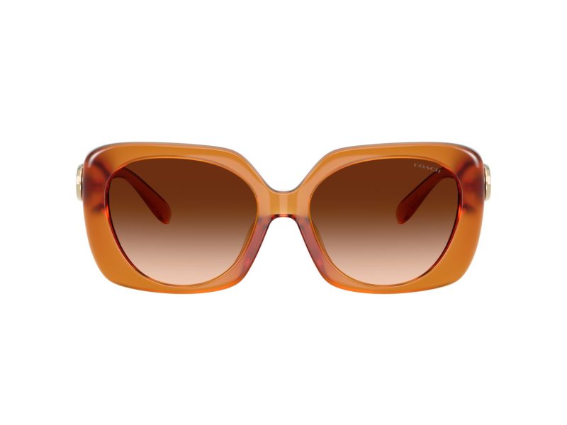 Coach Cad33 Lunettes de Soleil HC 8422U 564774