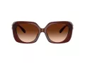 Coach Cad33 Lunettes de Soleil HC 8422U 584174