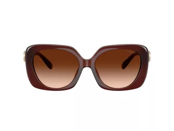 Coach Cad33 Lunettes de Soleil HC 8422U 584174