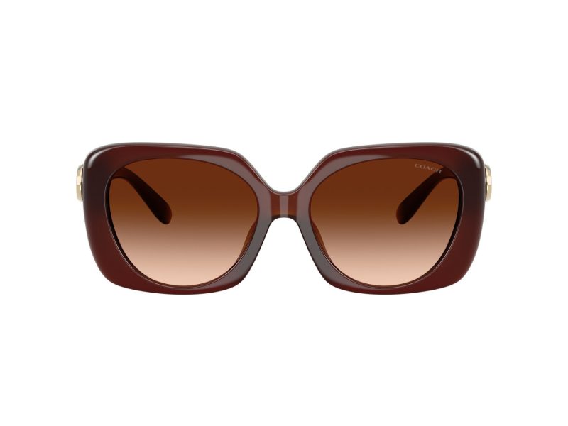 Coach Cad33 Lunettes de Soleil HC 8422U 584174
