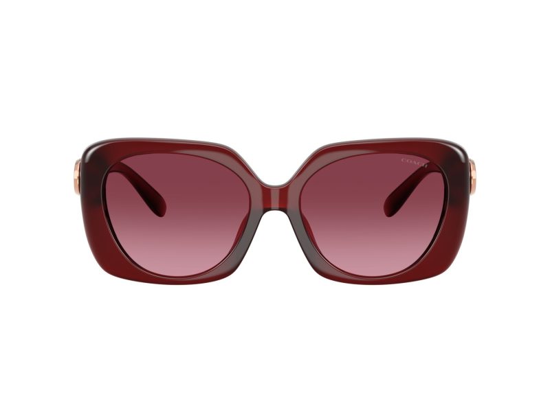 Coach Cad33 Lunettes de Soleil HC 8422U 58708H