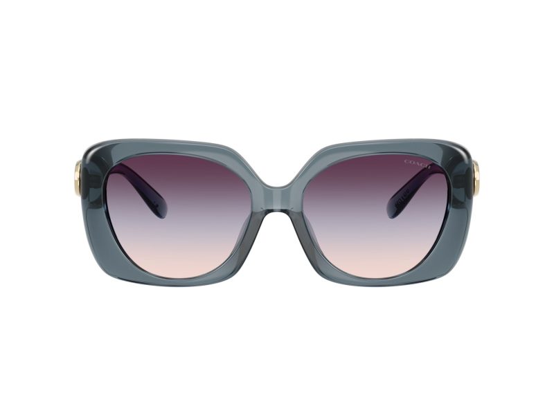 Coach Cad33 Lunettes de Soleil HC 8422U 5871U7